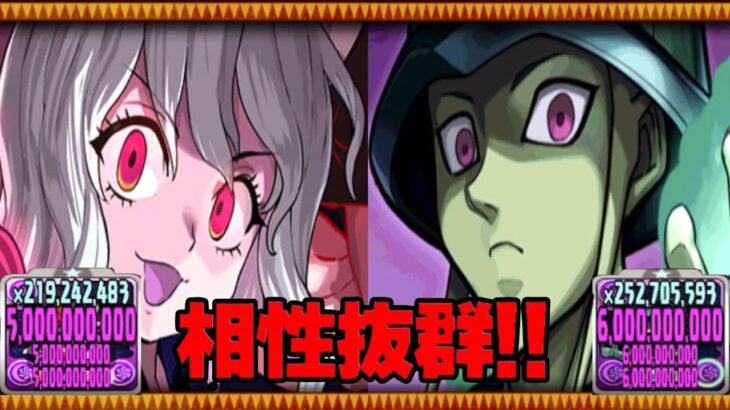 【レシート不要】不死身＆超絶火力！ピトー×メルエムが最強すぎて裏凶兆が余裕でおさんぽ【パズドラ】