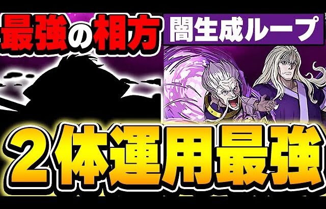 あのキャラと合わせたら最強！！ゼノ＆シルバは２体で十分運用できるレベル！！【裏凶兆】【パズドラ実況】