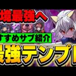 間違いなく最強リーダー！！ピトーのテンプレ編成＆おすすめサブ紹介！！【ハンターハンターコラボ】【パズドラ実況】