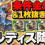 条件クリア報酬が超絶激うま！シヴァドラで全回収しよう！全キャラ対応！正月ノルディス降臨 【パズドラ】