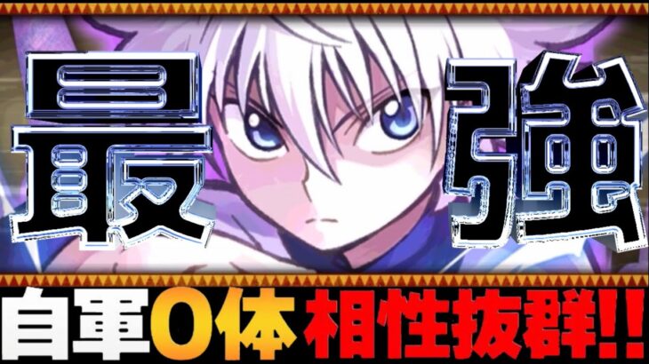【天才】答えはヘイスト⁈ キルアで裏千手おさんぽ出来るのヤバすぎる【パズドラ】