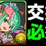 アルテミスは交換必須！正月ガチャ交換所の最終評価について【パズドラ実況】