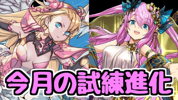 【試練進化】早めに育成しておきたい！ミネルヴァとヴィーナスの試練進化実装！あと業務連絡【パズドラ】