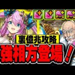 こいつはマジで優秀！！試練進化したヴィーナスの性能が最高難易度でも使えるレベルでかなり強い！！【裏億兆】【ハンターハンターコラボ】【パズドラ実況】