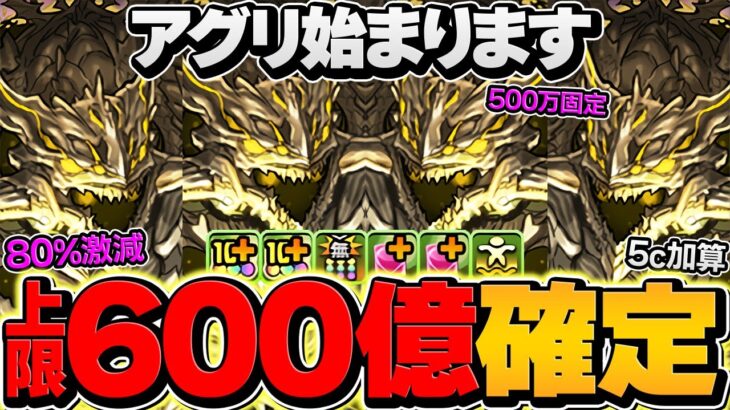 【神運営】アグリゲートがぶっ壊れチート最強。無一郎,ピトー級のバケモン性能に！【パズドラ】
