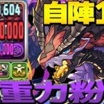 15ターン120億⁈ W吸収無効変換ループ⁉︎ ベリアルドラゴンの裏千手適正がヤバすぎる【パズドラ】