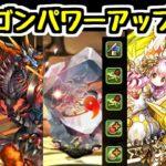 【ドラゴンキラー×2】ツバキの武器！この性能待ってた！！今週のドラゴンパワーアップ情報チェック【パズドラ】