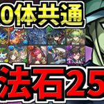 【絶対やろう】魔法石25個＆黒メダル5枚！超重力ドラゴンラッシュ！全10体共通の条件付きクリア編成！メルエム編成・代用・立ち回り解説！【パズドラ】