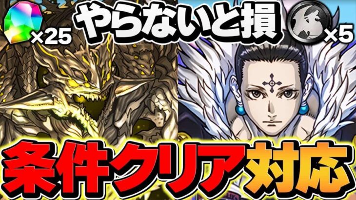 アグリゲート共通編成で魔法石25個&黒メダル5枚をゲット！条件付きクリア対応！超重力ドラゴンラッシュ2【パズドラ】