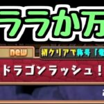【生放送】超重力ドラゴンラッシュ2or万寿【パズドラ】