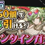3年半ぶりの木属性最レア！リズレット狙いのバレンタインガチャ330連！【パズドラ】