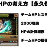 チームHPの考え方・理論【永久保存版】【パズドラ】2024/2/8