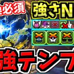 【最強テンプレ】交換必須！環境最強リーダーで単純な強さNo.1のアグリゲート最新版テンプレ編成！代用・立ち回り解説！龍現門を交換しよう【パズドラ】