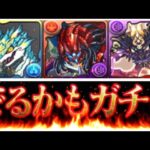 【炎上中】新フェス限出るかもガチャのココがヤバすぎる【パズドラ】
