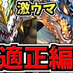 【最適正】激ウマ！やれば来年まで周回不要！バレンタインコロシアム！シヴァドラ&ノルディス編成！代用・立ち回り解説【パズドラ】