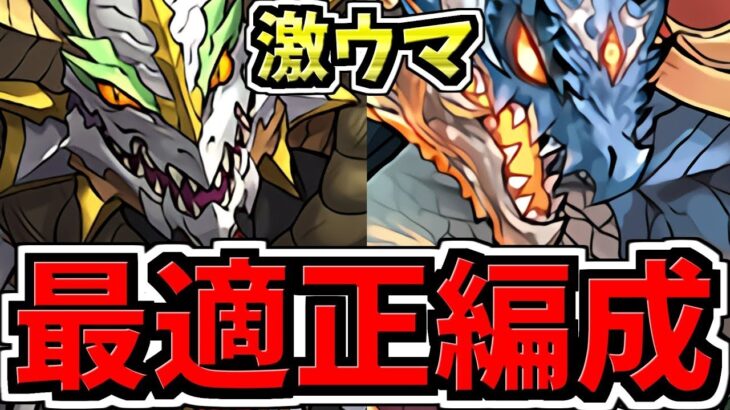 【最適正】激ウマ！やれば来年まで周回不要！バレンタインコロシアム！シヴァドラ&ノルディス編成！代用・立ち回り解説【パズドラ】