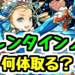 【何体確保？】バレンタインノアは周回最強クラスの交換可能キャラ！何体取る？【パズドラ】