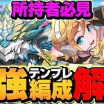 ノヴァ最強テンプレで極悪チャレンジを周回！？鏡音リンレンが相性抜群！引けた人は勝ち組です！【パズドラ】