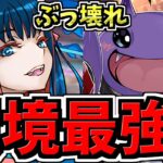 【環境最強の更新】極悪チャレンジ完全崩壊wwワルりんとジントニックが鬼強い！最強テンプレ編成！代用・立ち回り解説！歴世の杯と神創の雫【パズドラ】