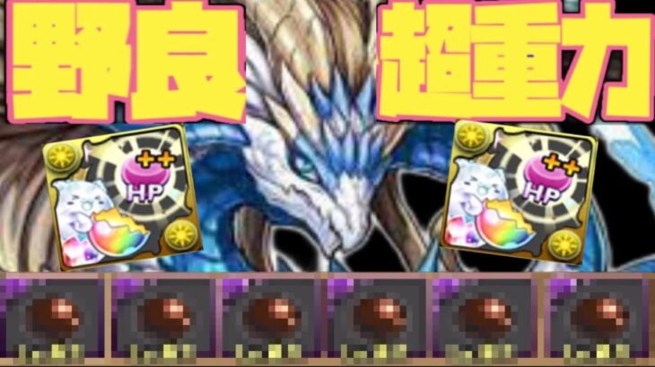 【地雷原】野良でやる３y超重力ドラゴンラッシュがヤバすぎるwww【パズドラ】