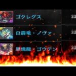 【閲覧注意】10万円分損⁈大炎上¥8,000ガチャ実装！みんなの結果がヤバすぎる【パズドラ】