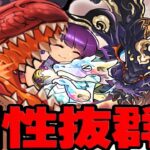 【魔法石10個】DDドラゴン極悪チャレンジ！まさかの神編成で意外とサクサクなのヤバすぎる【パズドラ】