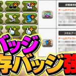 今週のアプデ情報！スキブバッヂや指バッヂなど12個のバッヂが強化決定！【パズドラ】