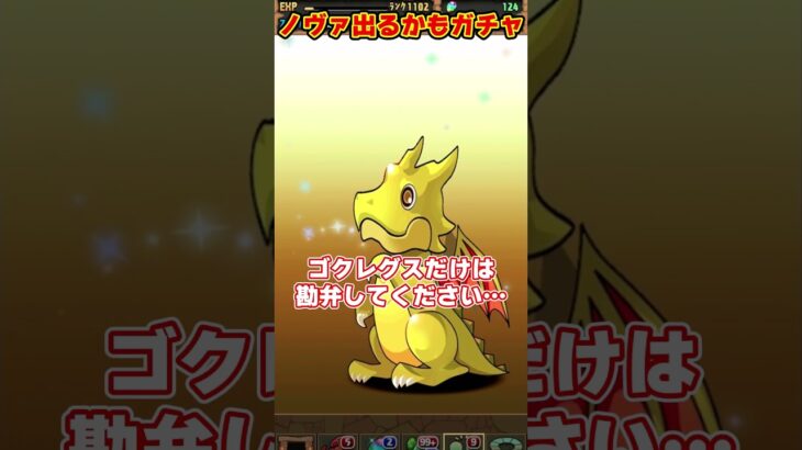 【パズドラ】ノヴァ出るかもガチャで１点狙い!!ゴクレグスだけは避けたい12周年星8ガチャの結果が… #shorts #パズドラ #ドラゴン縛り【ゆっくり実況】