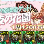 【星夜の花園】2分半で4.2千万経験値‼️対象キャラ入り周回編成（代用&立ち回り）