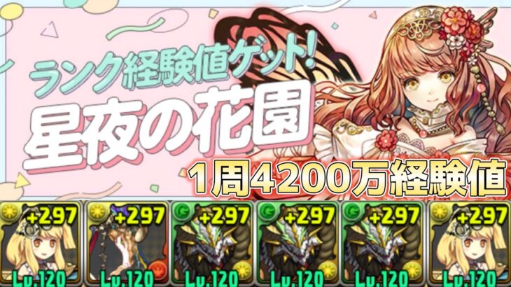 【星夜の花園】2分半で4.2千万経験値‼️対象キャラ入り周回編成（代用&立ち回り）