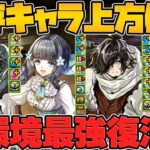 アトリが80%激減×100万倍LSでぶっ壊れた！カイシュウも2T無効で強キャラに！色違い進化も！幻画師イベント既存強化解説【パズドラ】