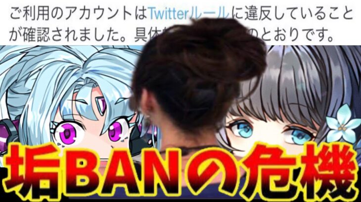 【緊急事態】幻画師イベント中止の危機⁈ ムラコ垢BAN未遂事件がヤバすぎる【パズドラ】