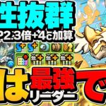 【実質HP715万】ノヴァ×ビアードンが最強！極悪12分攻略！ノヴァ所持者はマジで必見！評価爆上がり確定しました！【パズドラ】