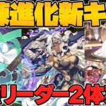 試練進化でメタトロンとアテンがぶっ壊れリーダーに！所持者勝ち組確定！SSGFも開催決定！【パズドラ】