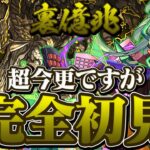 【完全初見】超今更、裏億兆に挑む男【パズドラ】