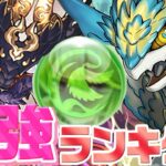 草時代到来⁈ 最新版最強リーダーランキグンがヤバすぎる【パズドラ】