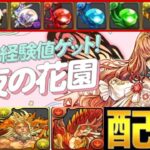 【緊急追加】ラキモン実装⁈交換素材配布⁈素材集め＋ランク上げダンジョン⁈ 運営の本気がヤバすぎる【パズドラ】