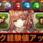 史上初⁈期間限定経験値イベントがヤバすぎる【パズドラ】