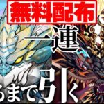 【神運営】ノヴァ・ゴウテン出るかもガチャ配布⁈ どっちも出なかったから出るまで引いたらヤバすぎた【パズドラ】