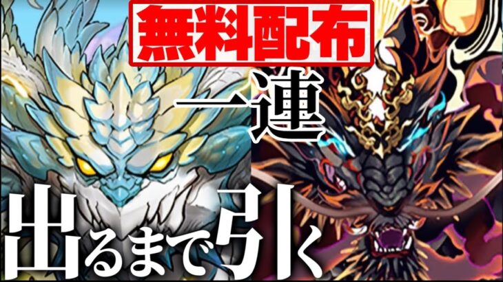 【神運営】ノヴァ・ゴウテン出るかもガチャ配布⁈ どっちも出なかったから出るまで引いたらヤバすぎた【パズドラ】