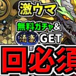【周回必須】無料ガチャ&称号ゲット！シロキセイリュウ降臨周回！ノルディス編成！報酬激ウマです！代用・立ち回り解説！確保数解説付き【パズドラ】