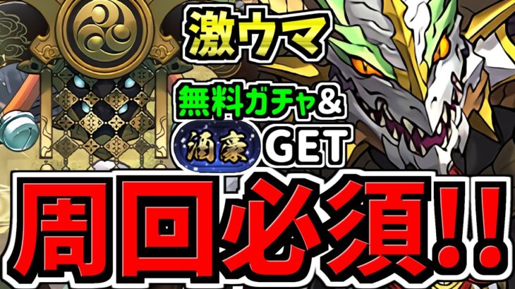 【周回必須】無料ガチャ&称号ゲット！シロキセイリュウ降臨周回！ノルディス編成！報酬激ウマです！代用・立ち回り解説！確保数解説付き【パズドラ】