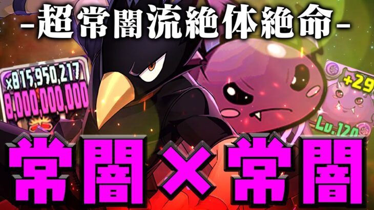 常闇編成、常闇時代、常闇踏陰、常闇宿命【極悪生命体 パズドラ ヒロアカ】