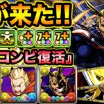 【夢の共演】オールマイトは強いぞ！！！！！！！！！！！【スー☆パズドラ】
