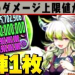 【最強性能】火力もスキルもぶっ壊れ⁈ディジーで極悪が余裕でおさんぽ出来るのヤバすぎる【パズドラ】
