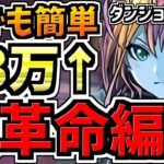 【大革命】ランダン！固定生成23万点↑パズル苦手でも王冠余裕！編成！代用・立ち回り解説！シルヴィ杯【パズドラ】