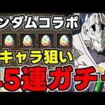 【ガチャ動画】ガンダムコラボ新キャラ狙いでガンダムガチャ2を45連！【パズドラ】