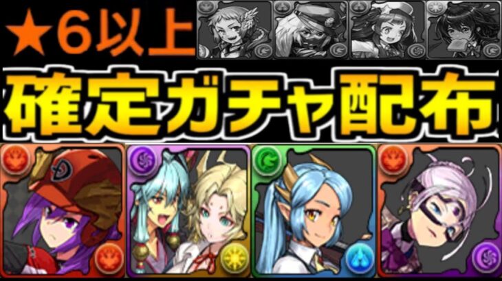 【難民救済】星6以上確定ガチャ配布⁈神引きラッシュがヤバすぎる【パズドラ】