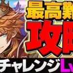 【環境最難関】LVEXをユニコーンガンダム最強テンプレで攻略！これ組めばOKです！GWチャレンジ【パズドラ】