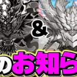 【環境変化】ノヴァ&ゴウテンの時代はガンダムでぶっ壊れました・・・【パズドラ】